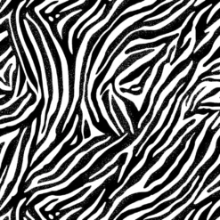 Best reviews of 🌟 Black & White Zebra Cotton Fabric Bundle by Loops & Threads™ ⌛ 7 Best reviews of 🌟 Black & White Zebra Cotton Fabric Bundle by Loops & Threads™ ⌛ -Loops & Threads Store 10631337 3